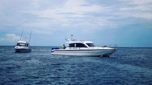 Однодневный тур на Бали и Нуса Лембонган [аренда яхты, рыбалка, сноркелинг + роскошная яхта Seahorse]