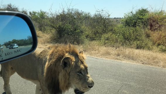 Lawatan Sehari Penuh Taman Negara Kruger