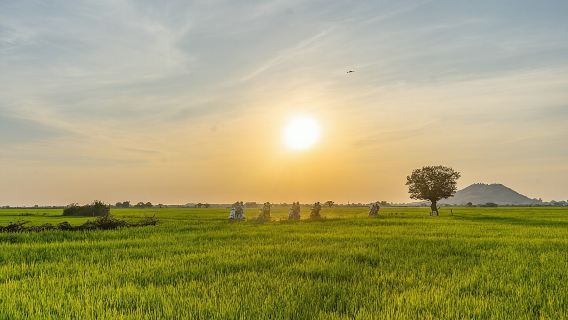 Tour in Vespa nella campagna di Siem Reap e al tramonto