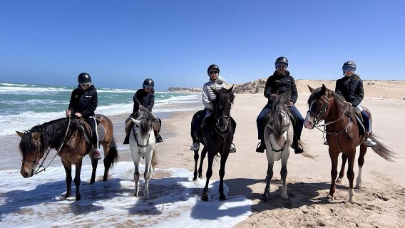 Horseback Riding Adventure to Discover Dakhla's Nature