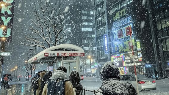 日本北海道大雪山國立公園-富田農場【北海道中文專車】