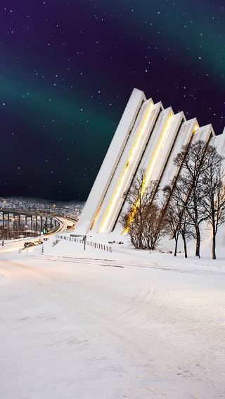 Polaria + Fjellheisen + Tromso Fjords 1-day tour [Private charter service]
