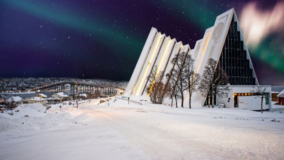Excursión de un día a Polaria + Teleférico de Tromso + Fiordo de Tromso con servicio de coche privado con conductor