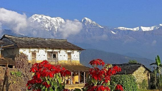 From Pokhara : Easy Day Hike To Australian Base Camp