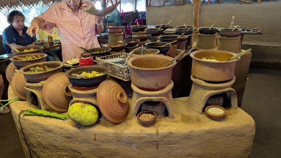 From Sigiriya:Polonnaruwa Day Tour with Farmers lunch