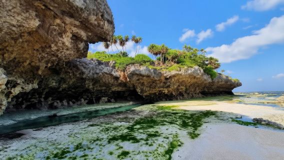 Zanzibar: Jozani national,saalam cave and Mtende beach