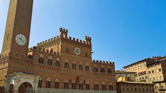 Best of Tuscany Experience Pisa, Siena, San Gimignano & Wine