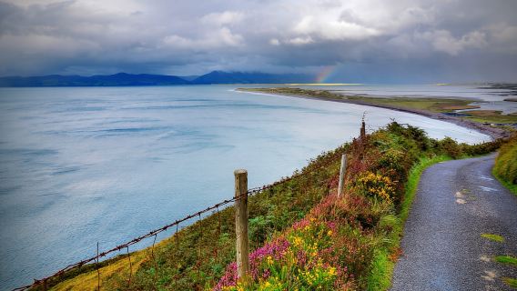 From Cork: 9-Hour Guided Ring of Kerry and Killarney Tour