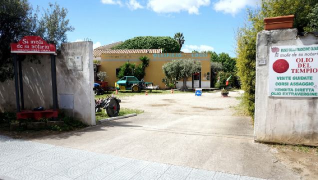 В 20 минутах от Кальяри: маслобойня, музей и дегустация оливкового масла EVO