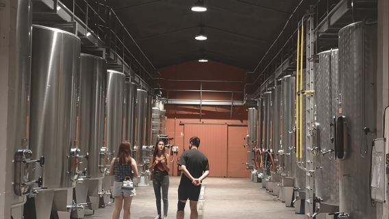 Lawatan wain Médoc dari Bordeaux: 2 kilang wain & 6 wain