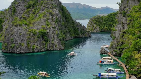 Coron: Barracuda Lake and Reef Garden Tour with Lunch