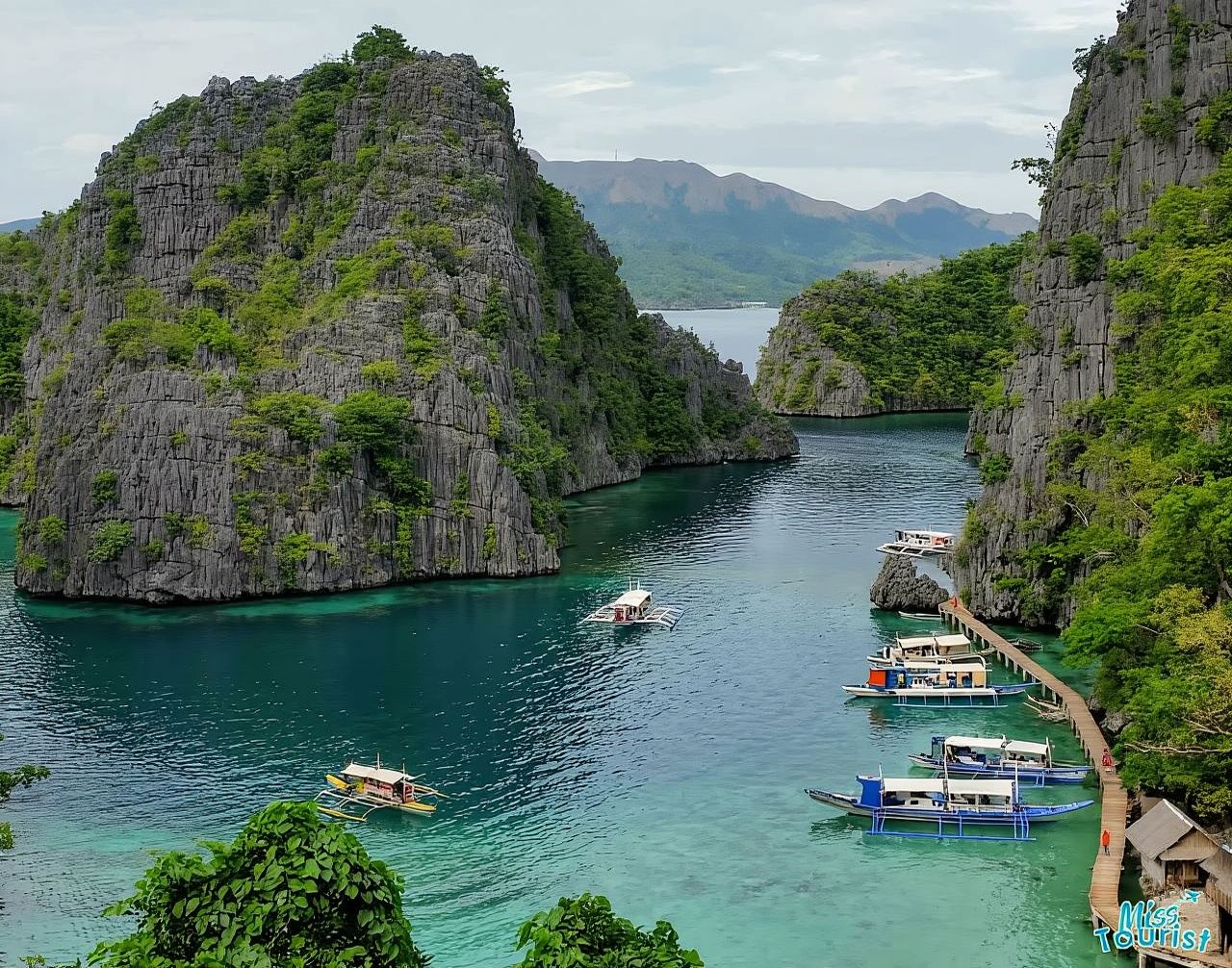 Coron: Barracuda Lake and Reef Garden Tour with Lunch