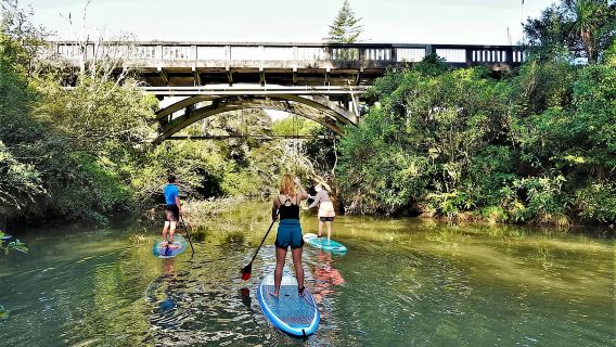Lucas Creek Waterfall SuP Tour