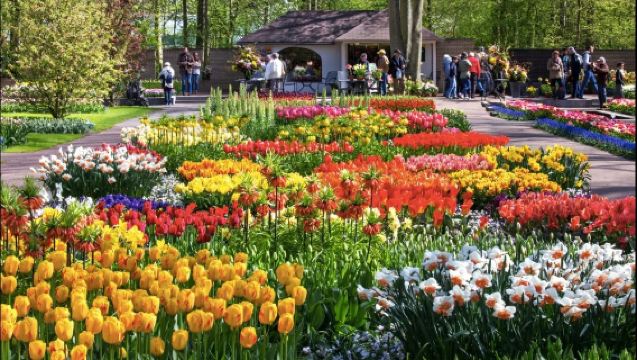 荷蘭霍夫多普｜翻譯陪同｜地陪旅遊｜展會翻譯｜商務考察｜地接｜（可私人定制）