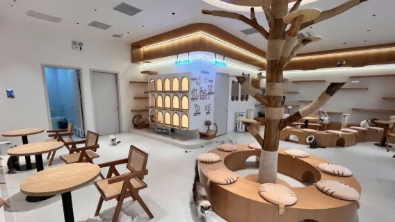 DX-PARK 2.0·지심 공원·모임·귀여운 반려동물·뷔페/보화 지하철역 B2 출구·바오안 센터 지하철역 (싱화 1로 19번지 첸하이 HOP 천지 B1-22)