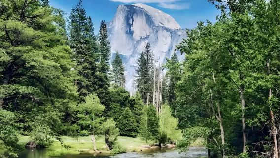 美國舊金山優勝美地國家公園一日遊【中文司機】