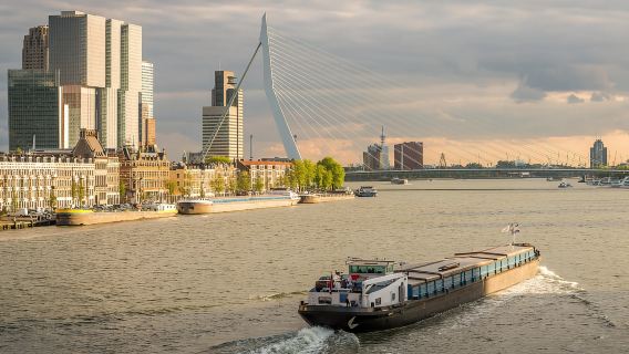 Desde Ámsterdam: Tour de Róterdam y La Haya en español