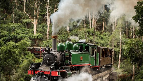 Puffing Billy Railway & Penguin Parade Day Tour [Wildlife Experience & Departing from Melbourne]