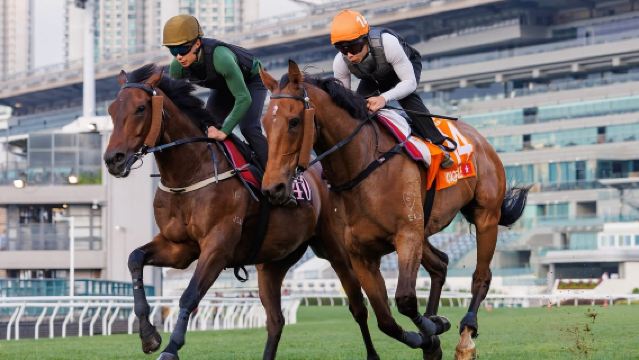香港一日遊海陸空全景【看賽馬坐摩天輪落日飛車夜遊維港 含餐】