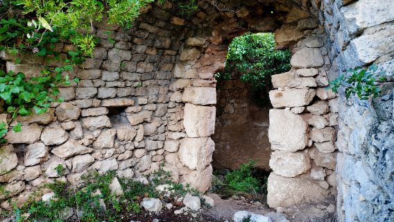 Sassari: hiking with donkeys in Cargeghe and aperitif