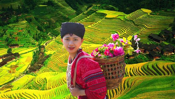 【8人小團｜私家團】桂林龍脊梯田-金坑梯田+黃洛紅瑤寨一日遊