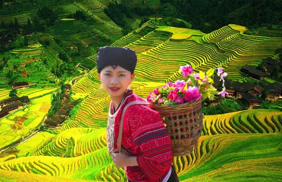 【8人小團/獨立包團】桂林龍脊梯田-金坑梯田+黃洛紅瑤寨一日遊