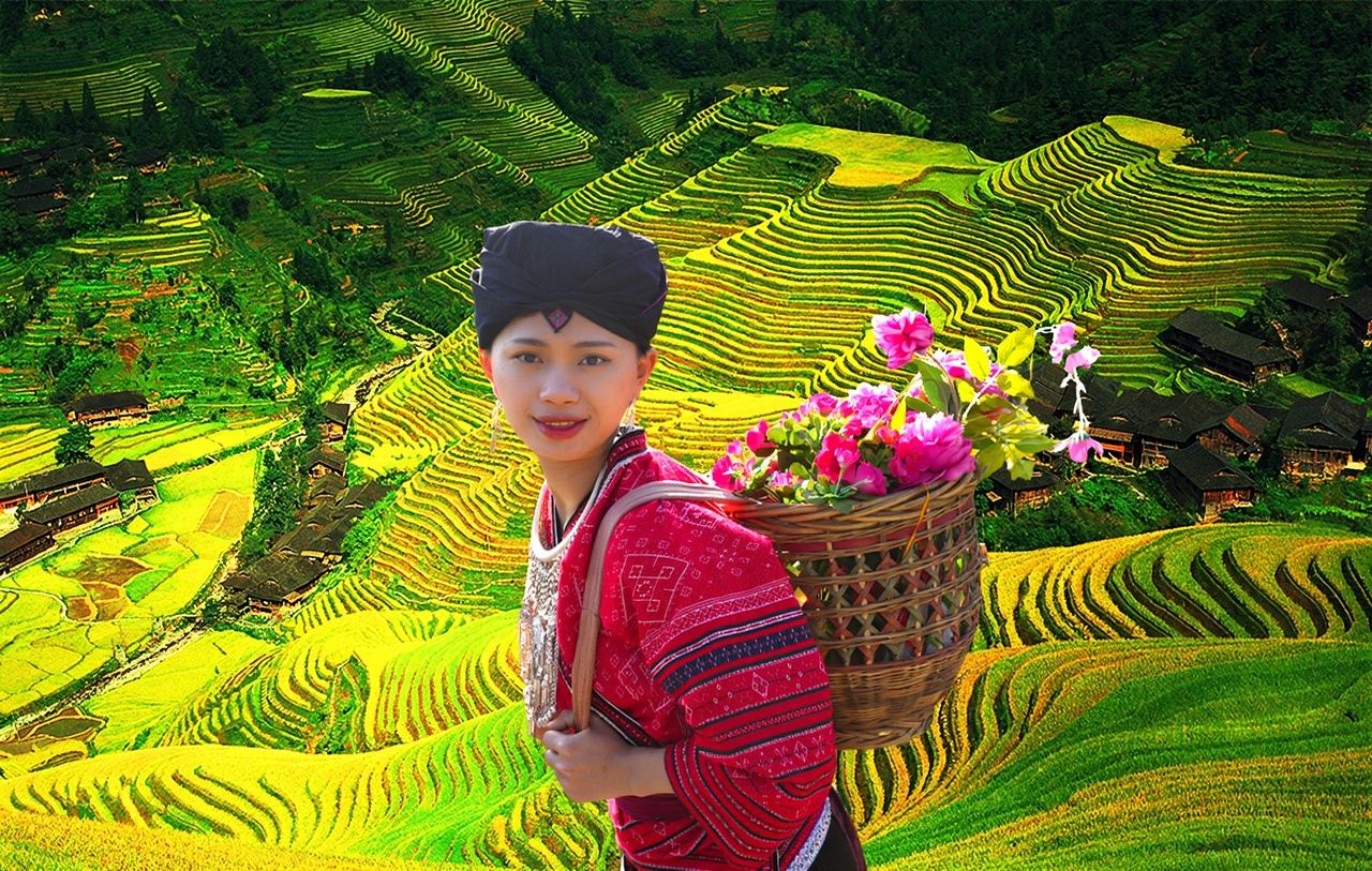 【8人小團|私家團】桂林龍脊梯田-金坑梯田+黃洛紅瑤寨一日遊