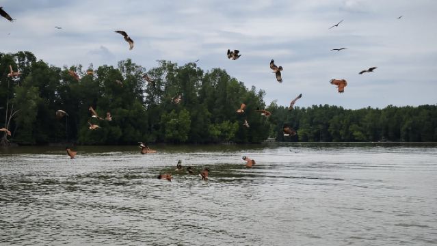 ทัวร์ 1 วัน จากปีนังสู่หมู่บ้านประมงเชิงนิเวศไท่ผิงสิบแปดต้น