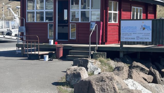 Ísafjörður: Westfjords Whale Watching Boat Tour