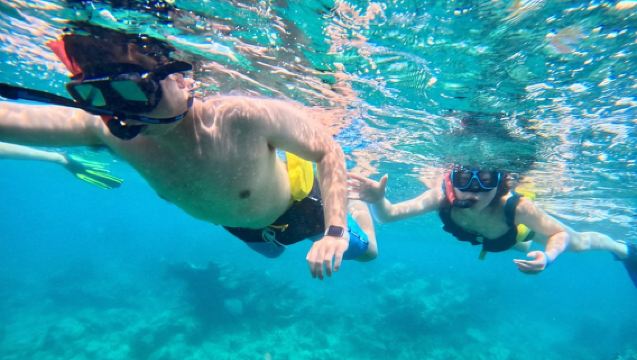 Приключение с сноркелингом в Сан-Хуане