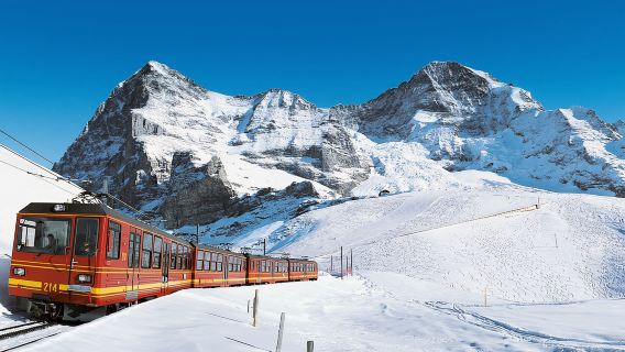 Tour 1 ngày Jungfrau Thụy Sĩ|Bao gồm cáp treo Eiger Express + tàu hỏa đường răng cưa + hướng dẫn viên chuyên nghiệp đi cùng suốt chuyến