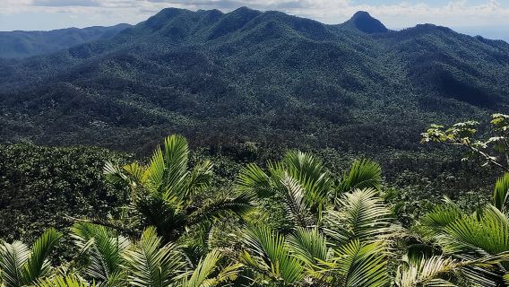 Gelongsor Air Hutan Hujan El Yunque dan Pantai Luquillo dengan Pengangkutan