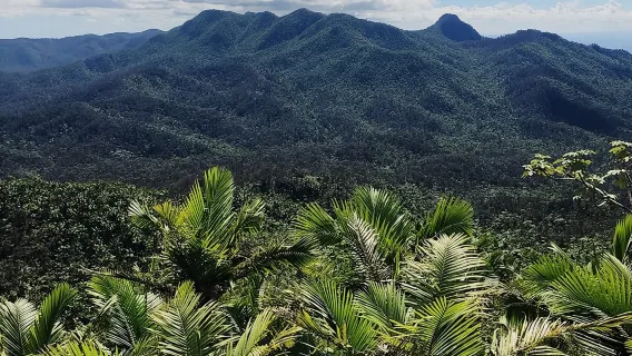 Toboganes acuáticos en la selva tropical de El Yunque y playa de Luquillo con transporte