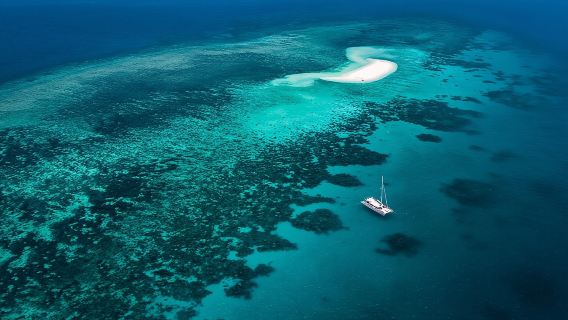 Outer Reef Mackay Cay Sail & Snorkel Adventure from Port Douglas