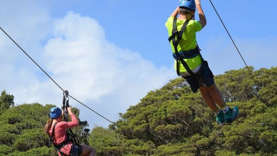 Zipline in Paradise