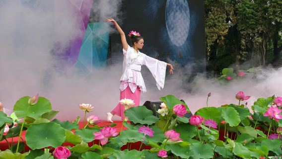 Однодневный тур с индивидуальным трансфером/арендой автомобиля с водителем по Старой улице Куньмин, Национальной деревне Юньнань, Влажным угодьям Хайхун и Парку Беггей, с услугами на китайском и английском языках.