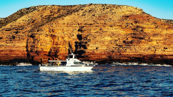 Kalbarri-Sonnenuntergangsfahrt entlang der Küstenklippen
