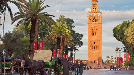 Escursione privata a Marrakech, giro in cammello o in quad da Casablanca