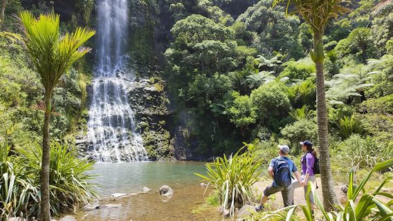 Auckland City and West Coast luxury small-group tour