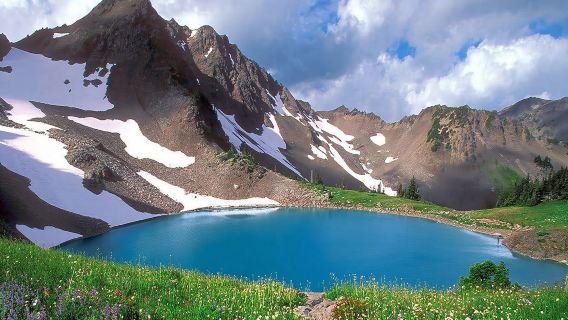 美國西雅圖奧林匹克國家公園一日遊/行程可調-可客製化多日