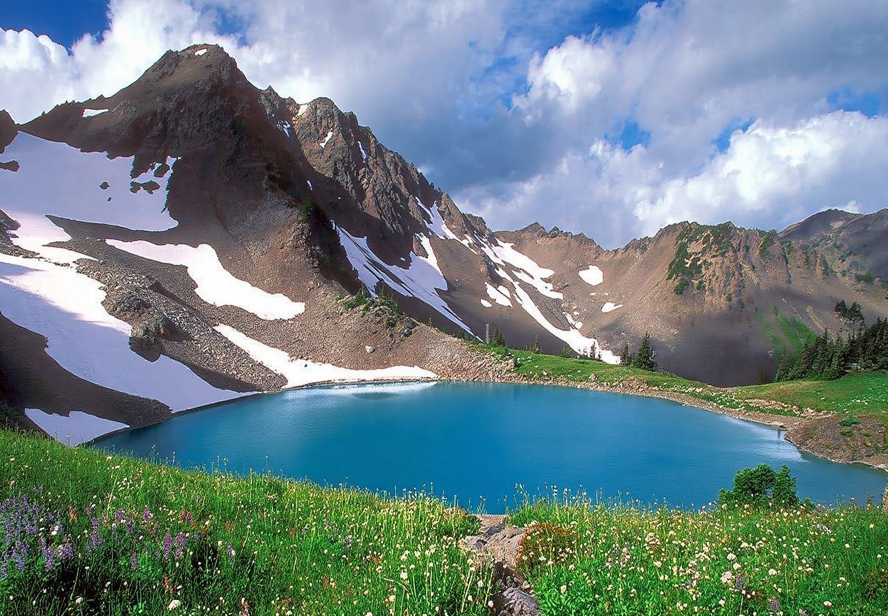 美國西雅圖奧林匹克國家公園一日遊/行程可調-中文包車