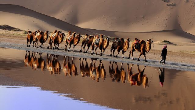 石炭井工業文旅影視小鎮+沙湖+石嘴山翡翠湖++五七幹校一日遊