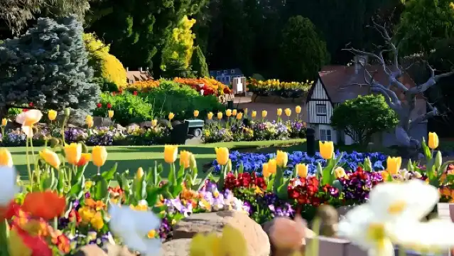 澳洲堪培拉科金頓綠色花園+皇家澳洲鑄幣廠一日遊