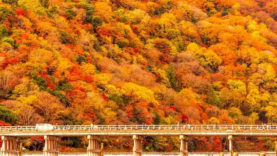 日本大阪四天王寺+通天閣+天王寺動物園一日遊