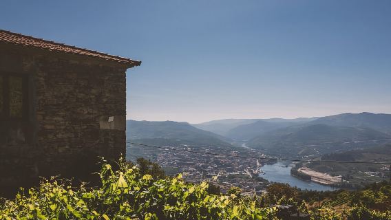 Tham quan một khu điền trang truyền thống với hoạt động nếm rượu vang - thân thiện với vật nuôi