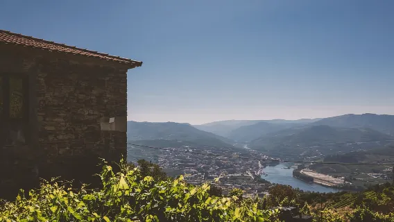 Visita una tenuta tradizionale con degustazione di vini - animali ammessi
