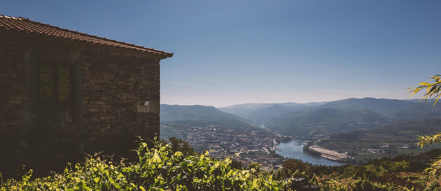 Besuchen Sie ein traditionelles Weingut mit Weinprobe – haustierfreundlich