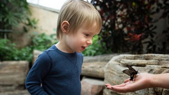 Cataratas del Niágara: Pase para 5 atracciones, autobús WEGO y audioguía