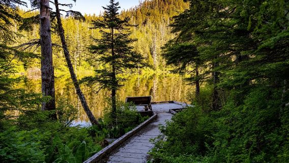 Ketchikan: Mountain Lake Trek to Avalanche Chute