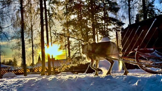 Oulu: Santa Claus Village Day Tour Included Lunch